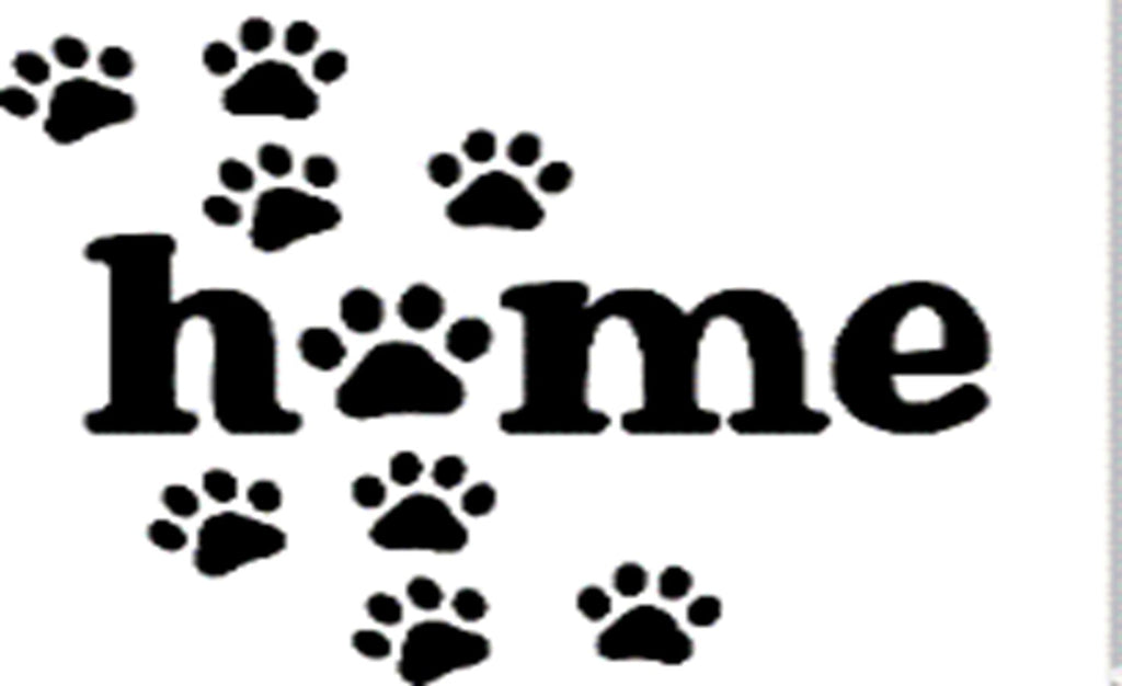 Doormat 60cm x 40cm - 'Home' (Paws) - Absorbent Coir Mat for Indoor Outdoor