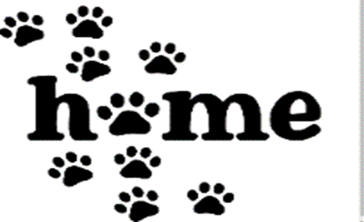 Doormat 60cm x 40cm - 'Home' (Paws) - Absorbent Coir Mat for Indoor Outdoor
