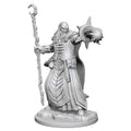Human Male Wizards: D&D Nolzur's Marvelous Unpainted Miniatures (W1)